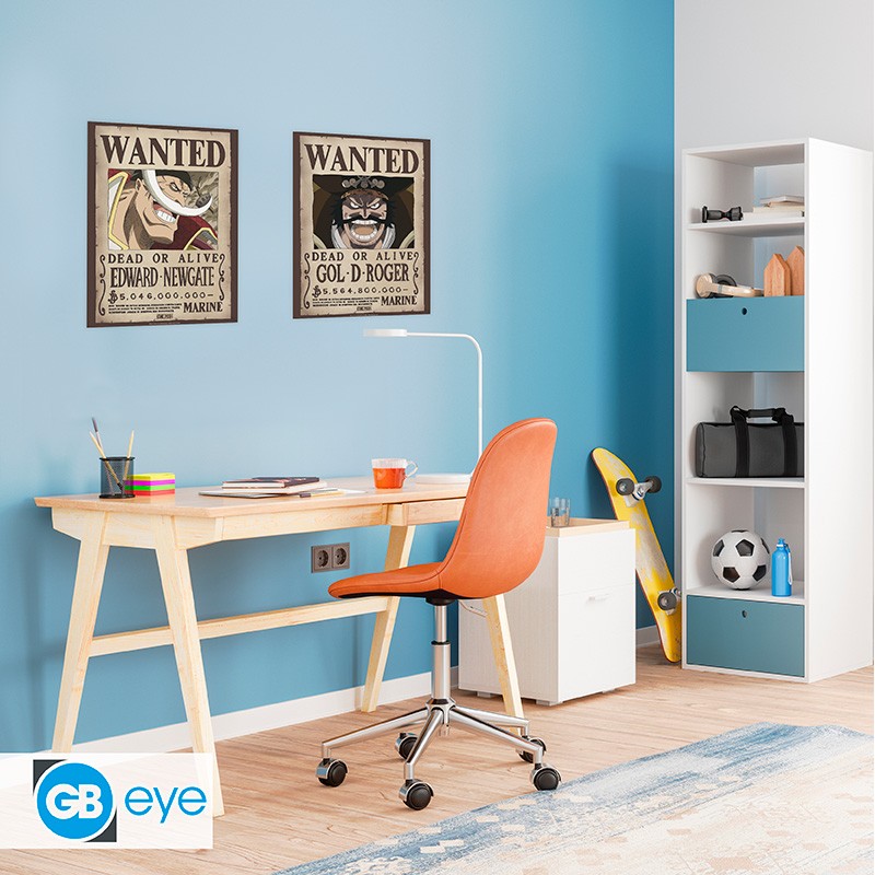 ONE PIECE - Set 2 Posters 52x38 - Wanted Roger & Barbe Blanche